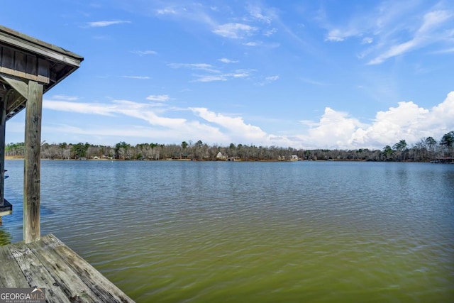 view of water feature