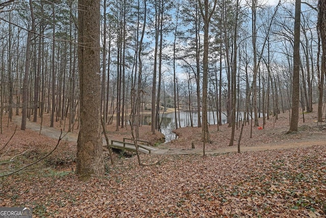 view of yard with a water view