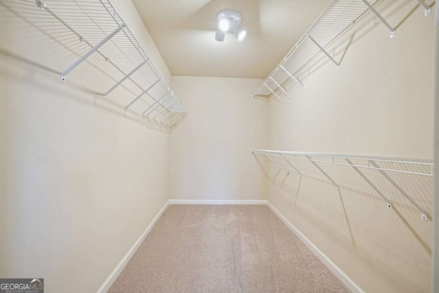 spacious closet with carpet floors