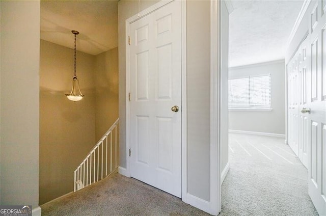 hallway with ornamental molding and carpet