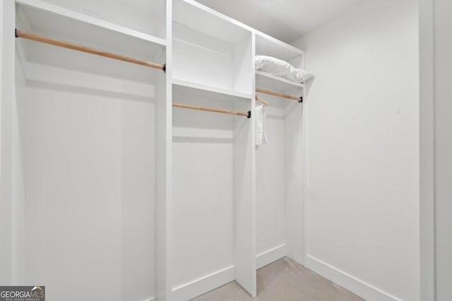 view of walk in closet