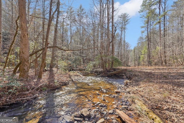 view of local wilderness