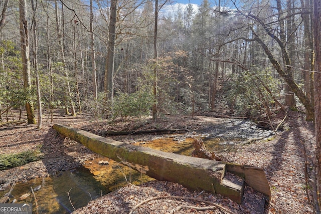 view of local wilderness