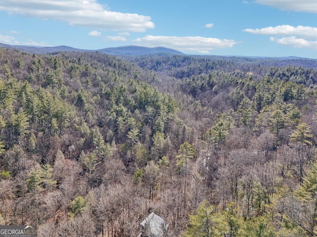 view of mountain feature