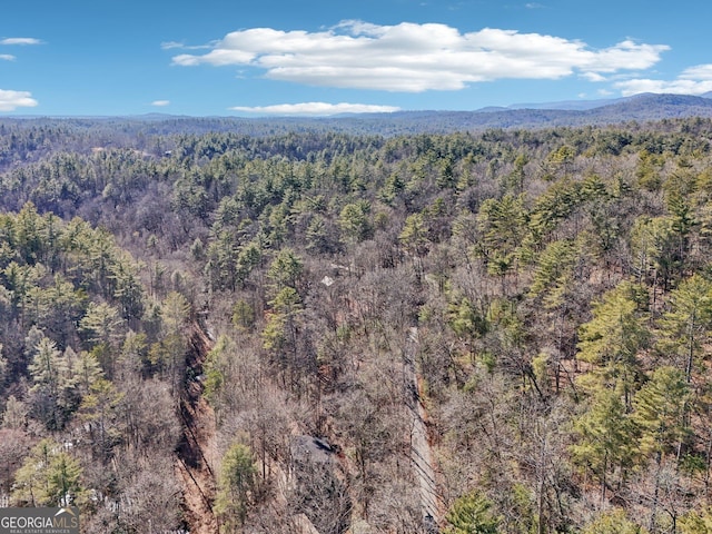 drone / aerial view featuring a mountain view