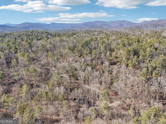 property view of mountains