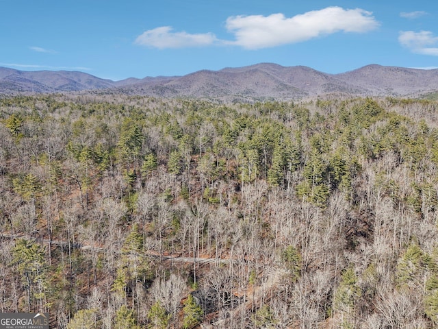 property view of mountains