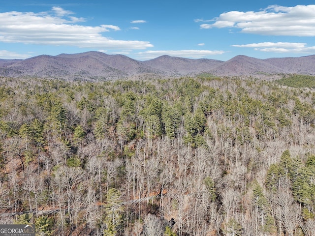 property view of mountains