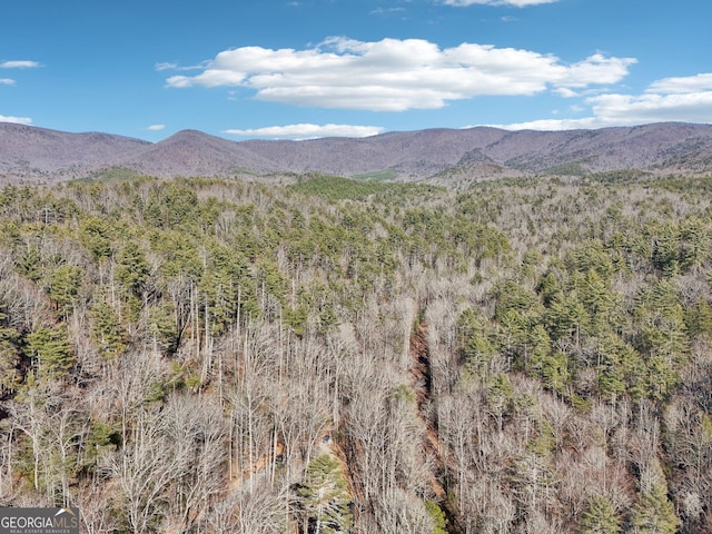 property view of mountains