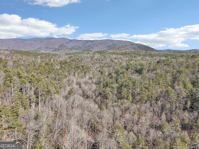 property view of mountains