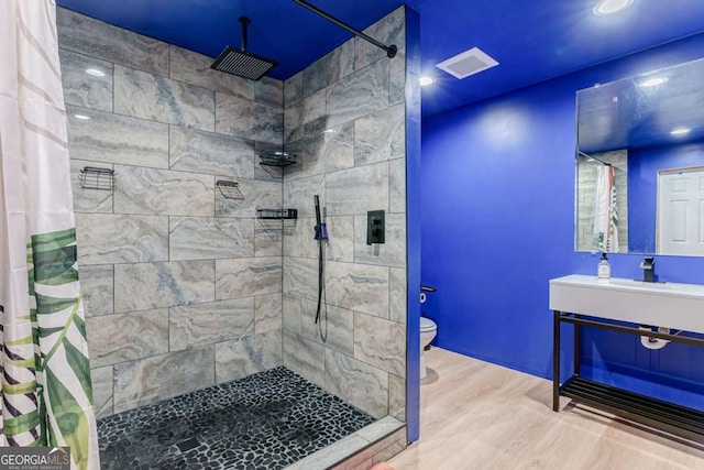 bathroom featuring a shower with curtain, vanity, and toilet