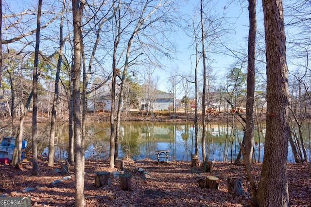 view of water feature