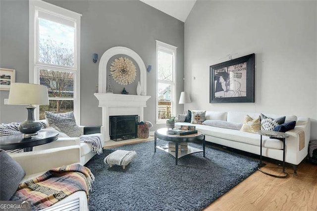 living room with hardwood / wood-style flooring and high vaulted ceiling