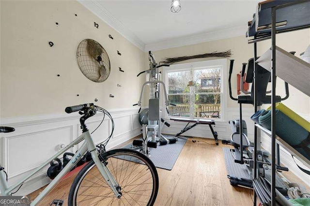 workout room featuring ornamental molding and light hardwood / wood-style floors