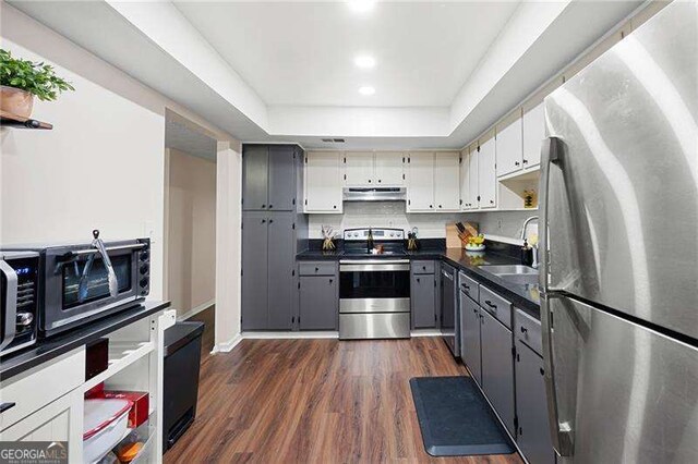 kitchen featuring sink, gray cabinets, stainless steel appliances, dark hardwood / wood-style floors, and a raised ceiling