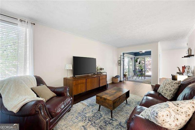 living room with wood-type flooring and a textured ceiling