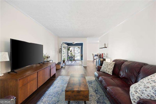 living room with dark hardwood / wood-style floors and a textured ceiling