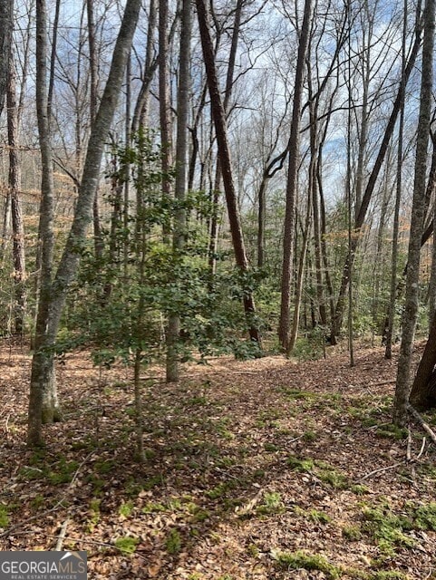 Listing photo 2 for 0 Pit Rd, Blairsville GA 30512