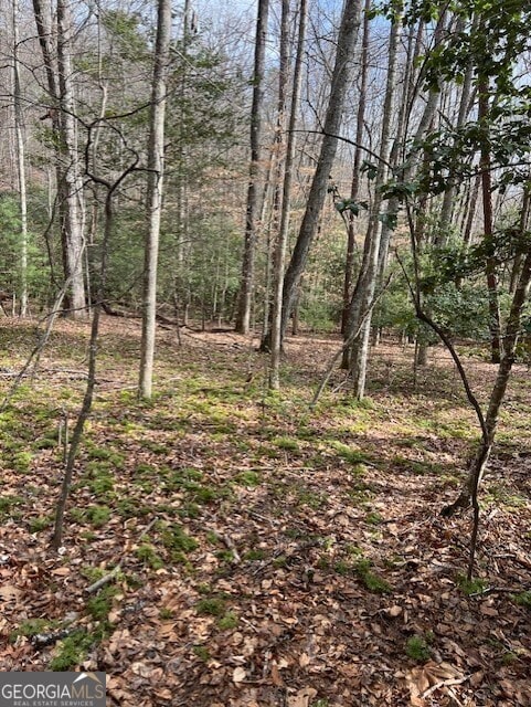 Listing photo 3 for 0 Pit Rd, Blairsville GA 30512