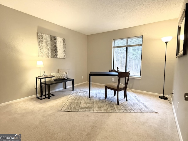 office with light carpet and a textured ceiling