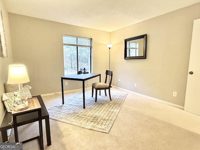 office space featuring a textured ceiling and carpet flooring