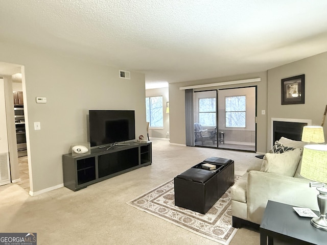 carpeted living room with a textured ceiling