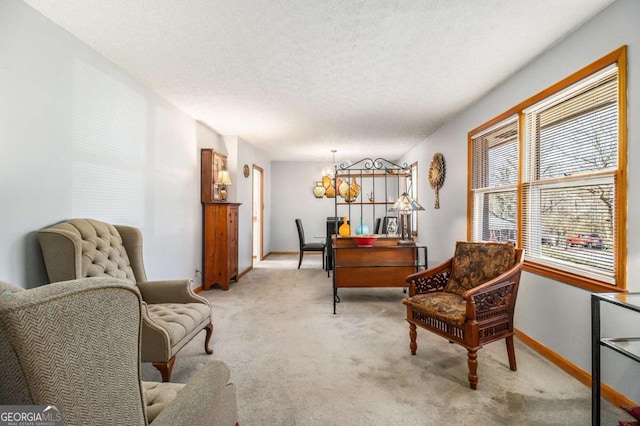 sitting room featuring light colored carpet and a textured ceiling