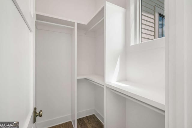 spacious closet featuring dark wood-type flooring