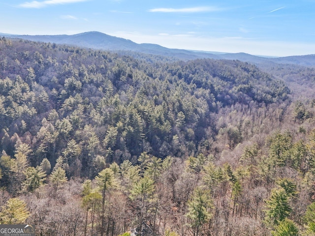 property view of mountains