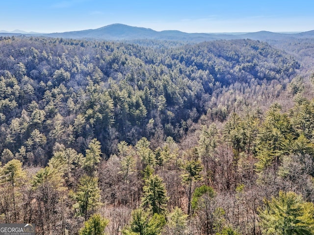 view of mountain feature