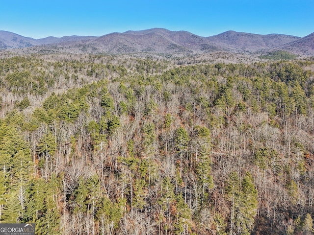 property view of mountains