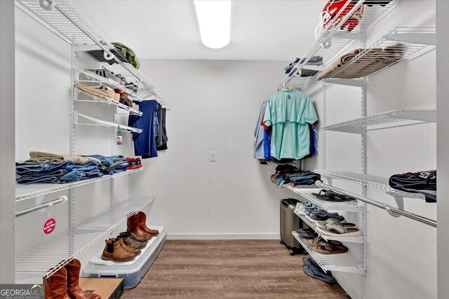 walk in closet featuring hardwood / wood-style floors