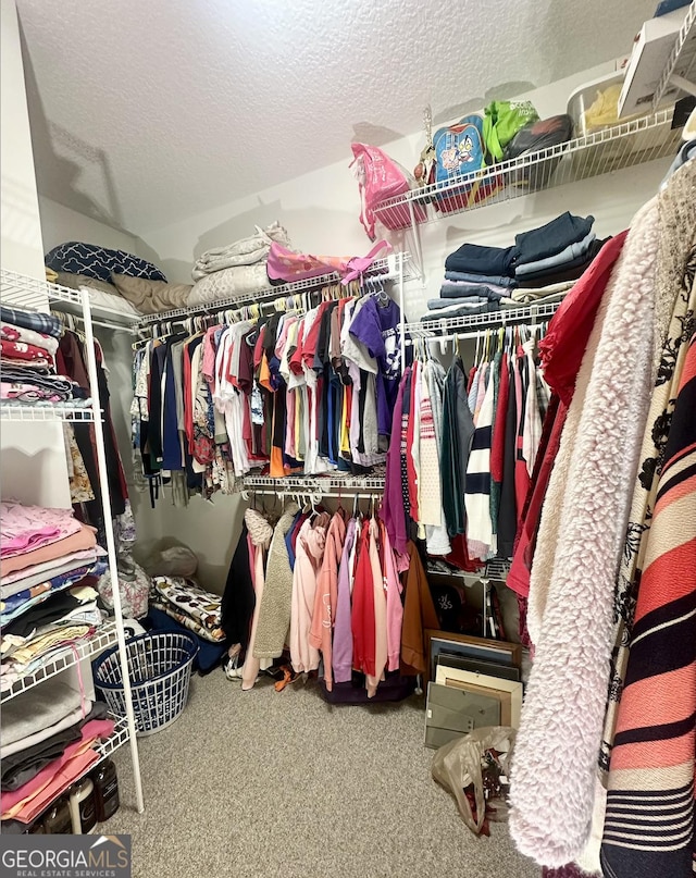 spacious closet with carpet floors