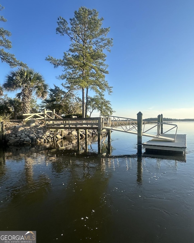 dock area with a water view