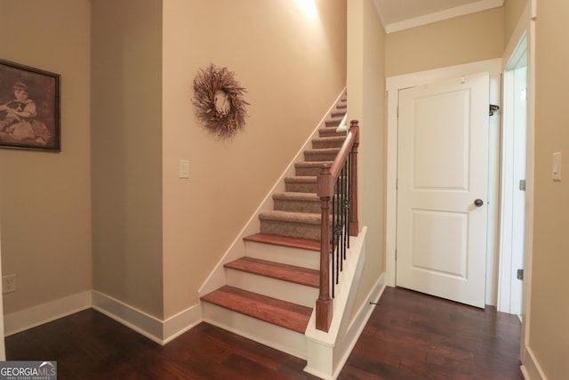 stairway featuring hardwood / wood-style floors