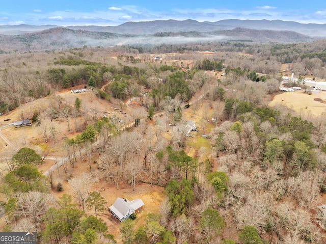 drone / aerial view featuring a mountain view