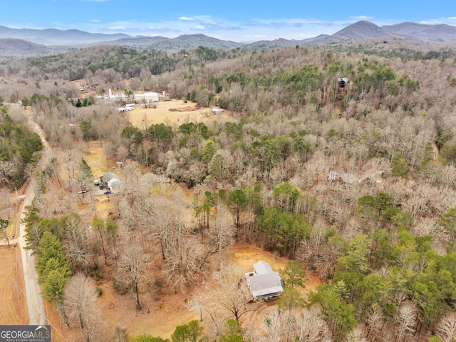 drone / aerial view featuring a mountain view