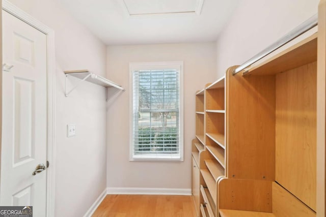 spacious closet featuring light hardwood / wood-style flooring