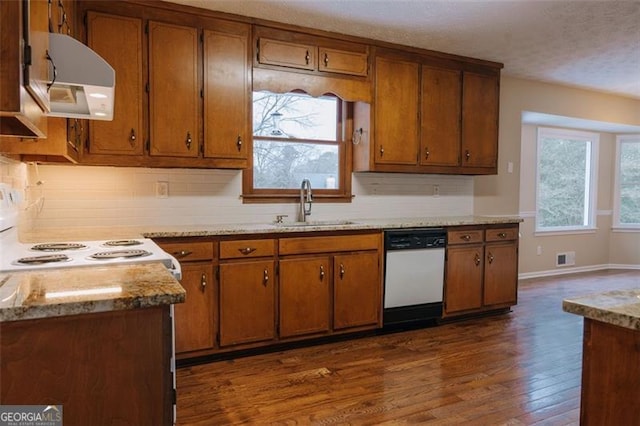 kitchen with white electric range, sink, exhaust hood, stainless steel dishwasher, and a healthy amount of sunlight