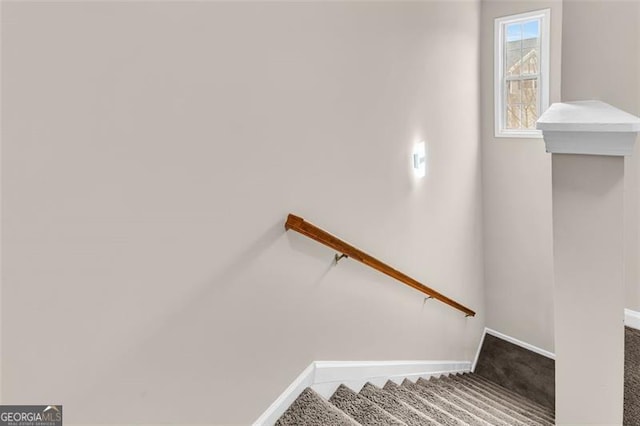 stairway with carpet floors