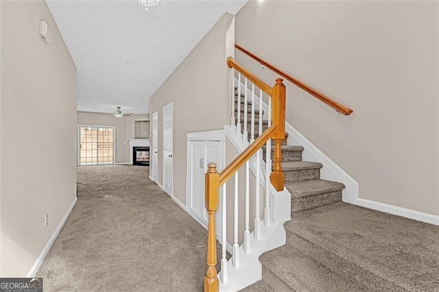 stairs featuring carpet floors and ceiling fan