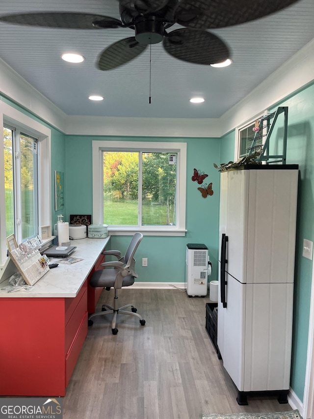 office featuring ceiling fan and light hardwood / wood-style flooring