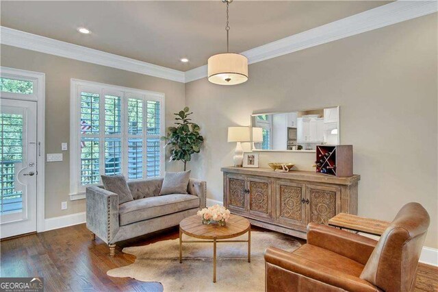 living area featuring crown molding and dark hardwood / wood-style floors