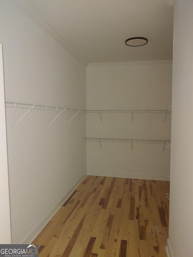 spacious closet with hardwood / wood-style flooring