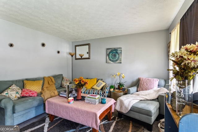 living room featuring a textured ceiling