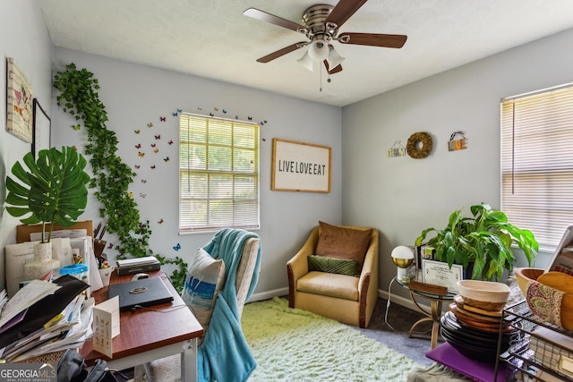 office area featuring ceiling fan and carpet flooring