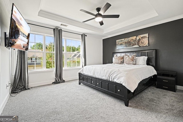 bedroom with a raised ceiling and carpet flooring