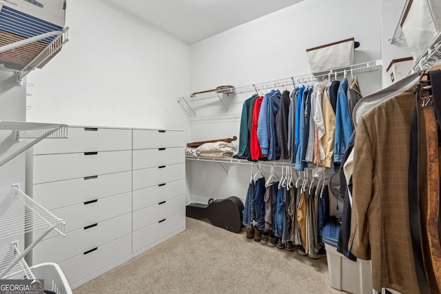 spacious closet featuring light carpet