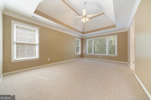 unfurnished room with ornamental molding, plenty of natural light, and a tray ceiling