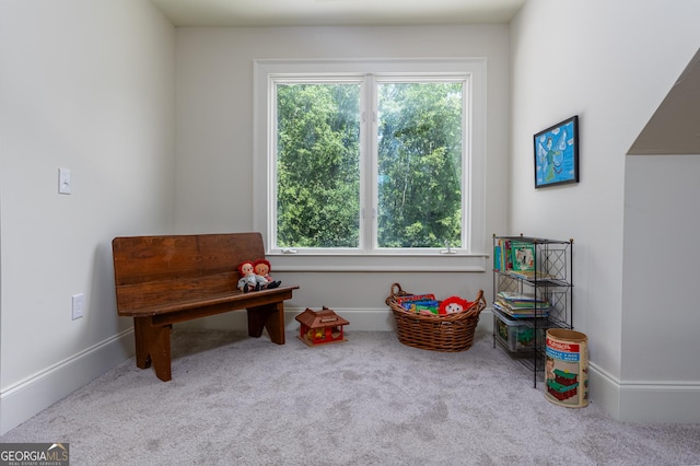 rec room with carpet flooring